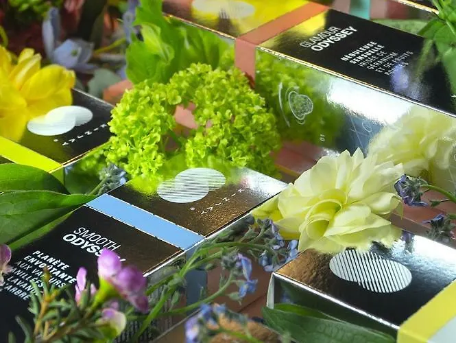 Hotel La Villa - Hotel Bien Etre